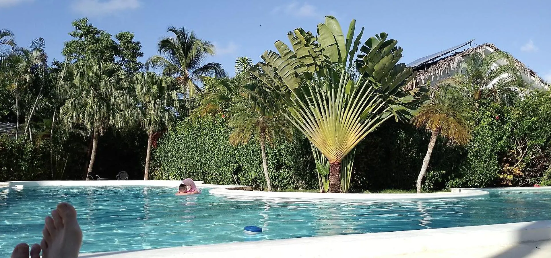 Paradise Apartment With Senic Pool In Beach Area El Callejon Dominican Republic